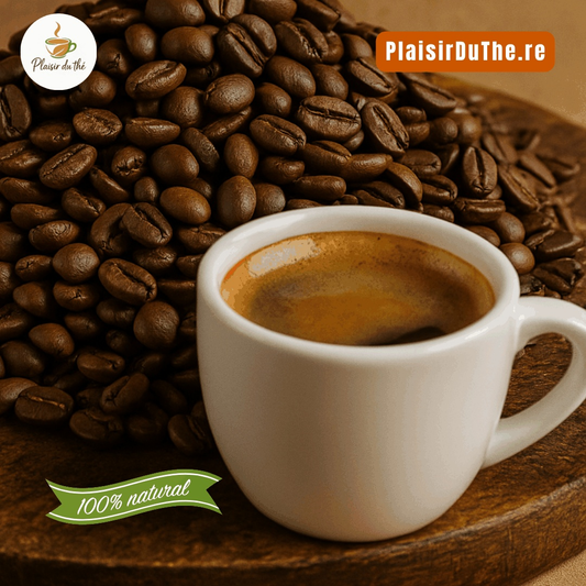 Café en grains Cerise Robusta AB Bio - Un voyage sensoriel à chaque gorgée