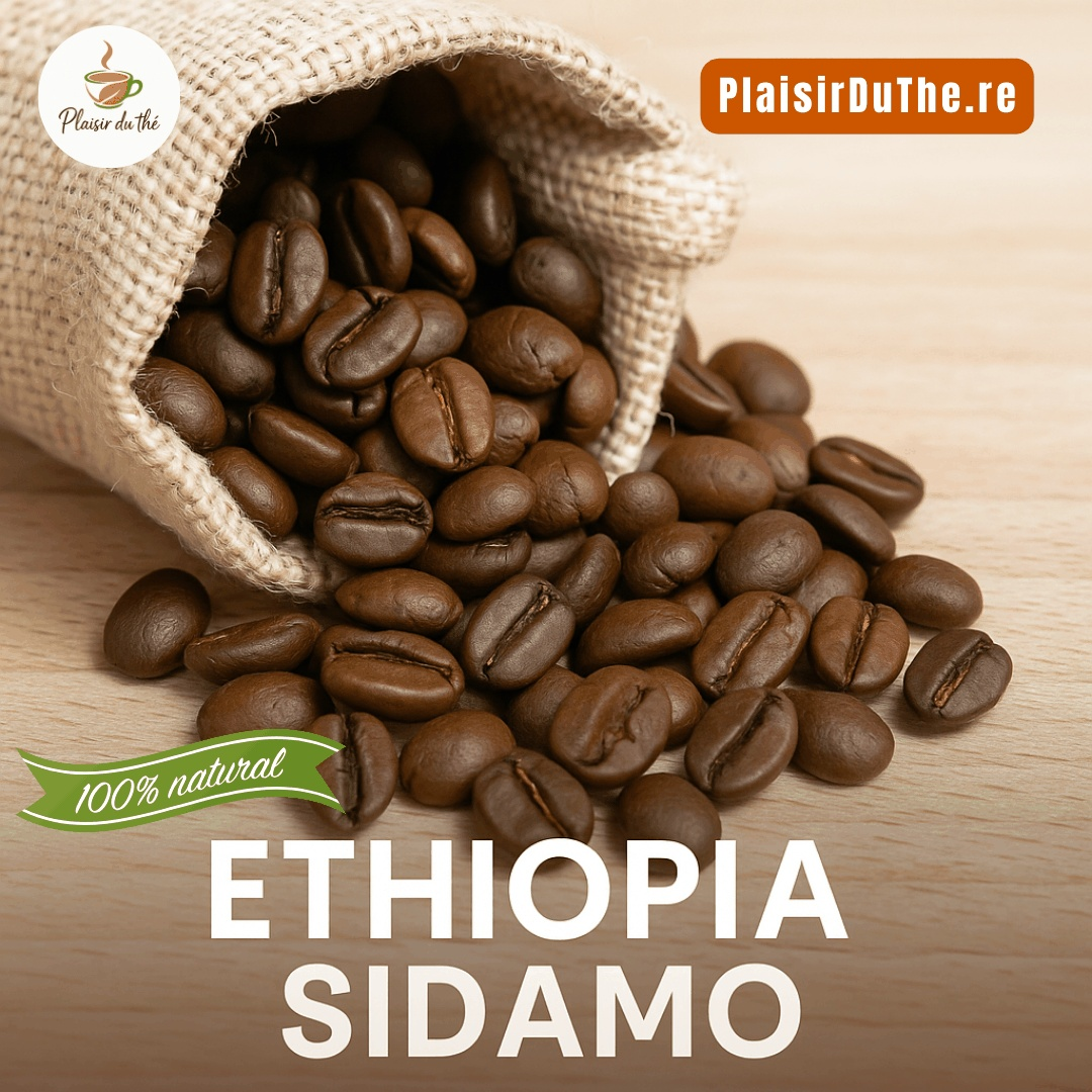 Café en grains Trésors d'éthiopie - Moka sidamo BIO - Un voyage sensoriel à chaque gorgée