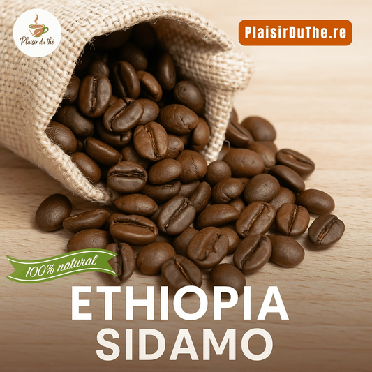 Café en grains Trésors d'éthiopie - Moka sidamo BIO - Un voyage sensoriel à chaque gorgée