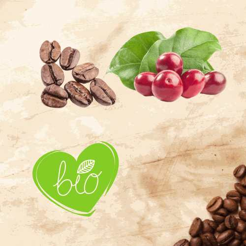 Café en grains Trésors d'éthiopie - Moka sidamo BIO - Un voyage sensoriel à chaque gorgée