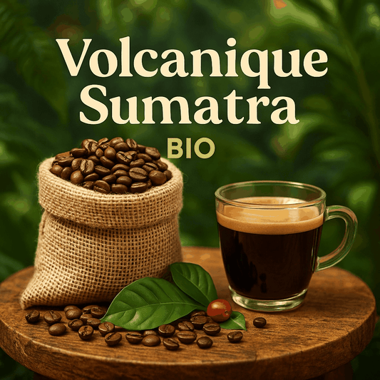 Café en grains – Volcanique Sumatra Intense BIO