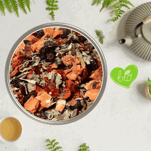 Infusion FruitĂ©e đ Douceur Sauvage â fraise, mĂ»re et myrtille BIO
