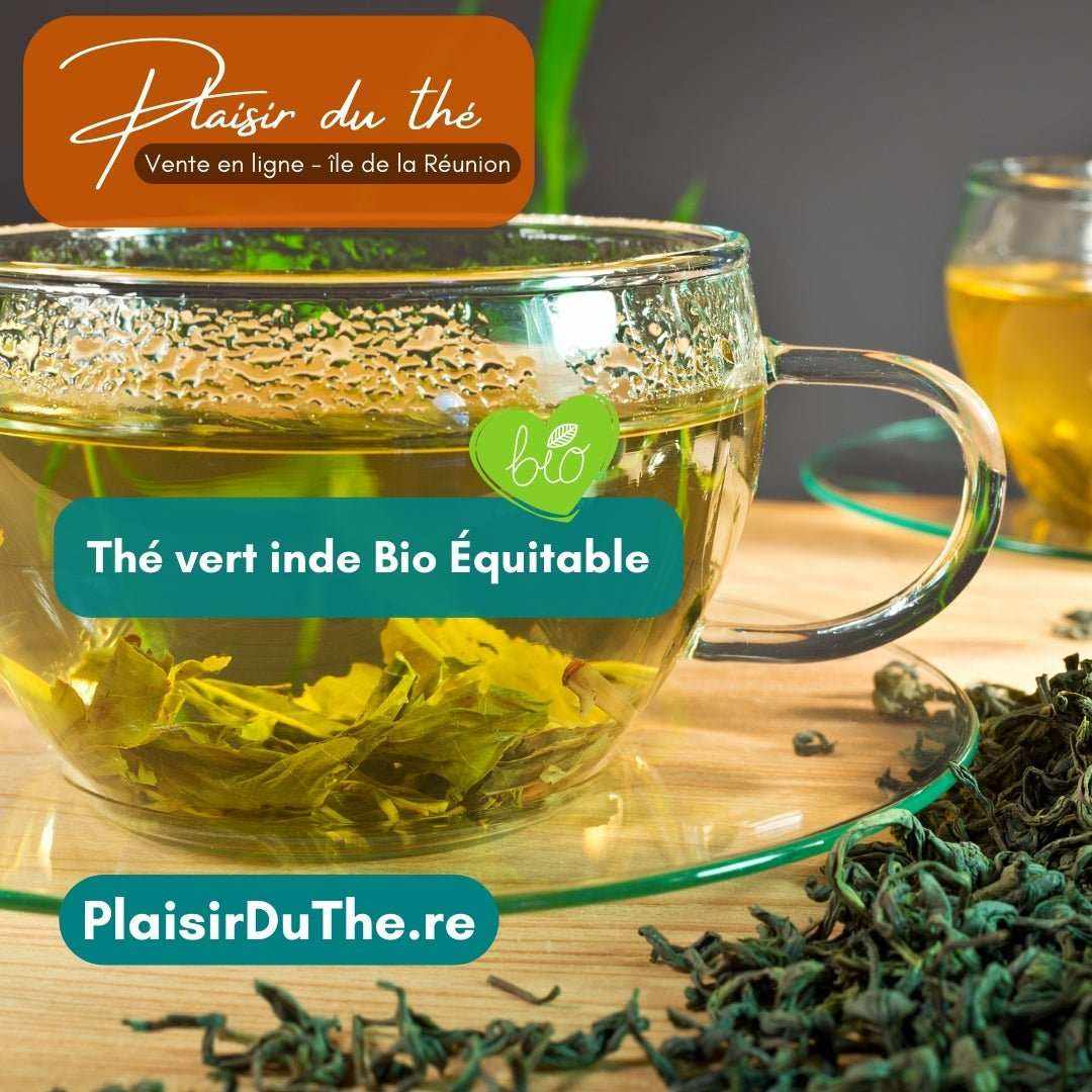 Thé vert inde Bio Équitable en vrac 100g - Un voyage sensoriel à chaque gorgée