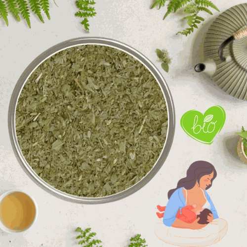 Tisane Bio Maman & Bébé - Sérénité Allaitement - Infusettes - Un voyage sensoriel à chaque gorgée